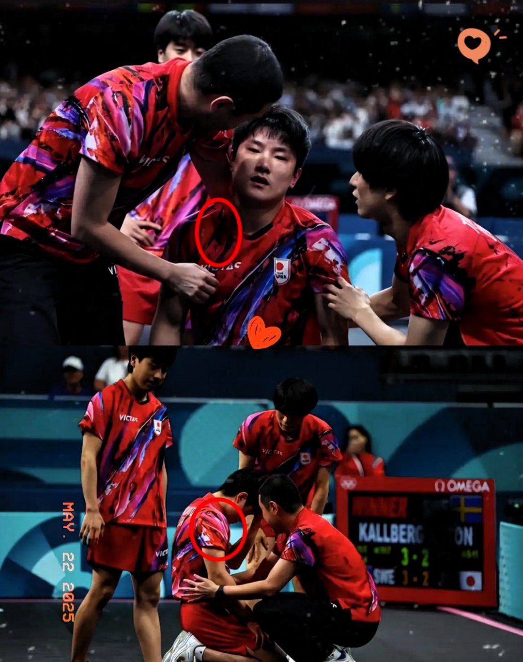 葡萄牙队力克日本队，张本智和高光表现的简单介绍