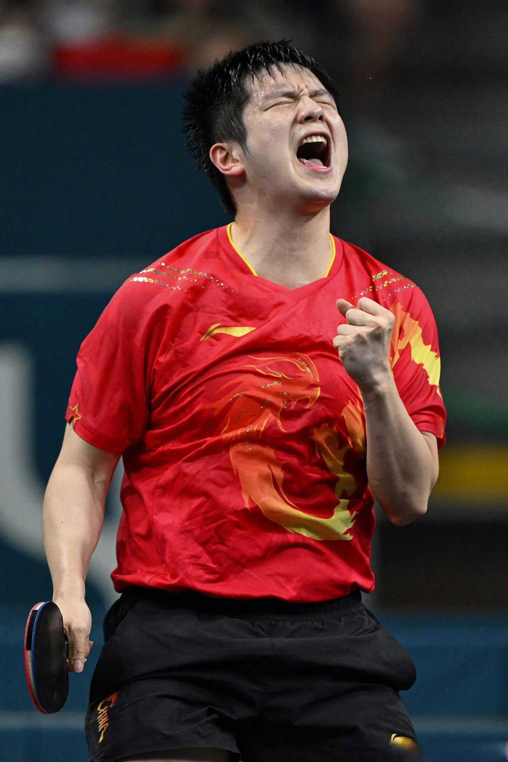 瑞典队鏖战韩国队，樊振东状态火热的简单介绍