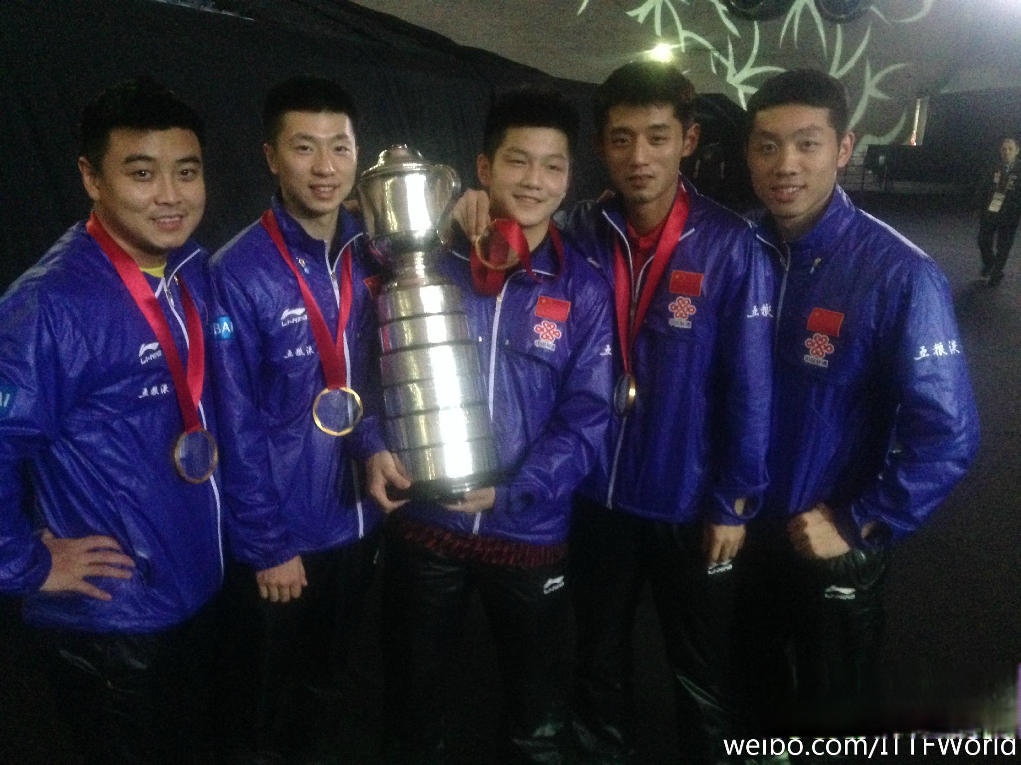 中国队力克德国队，王皓惊艳四座的简单介绍