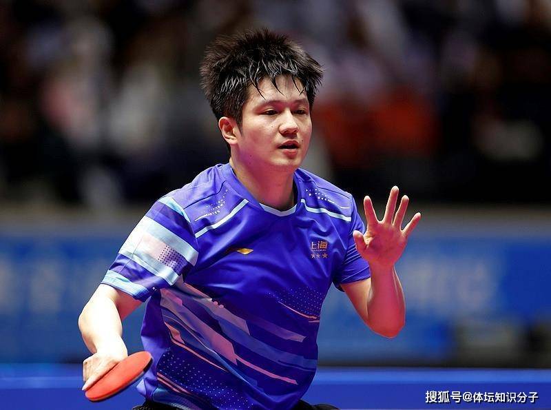 德国队横扫波兰队，樊振东带队取胜