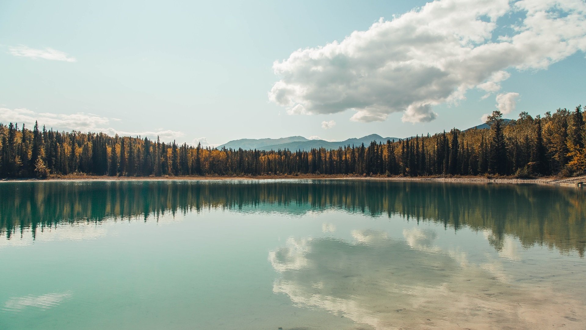 新大陆的足球革命，阿劳霍的一脚，掀翻了旧世界的秩序