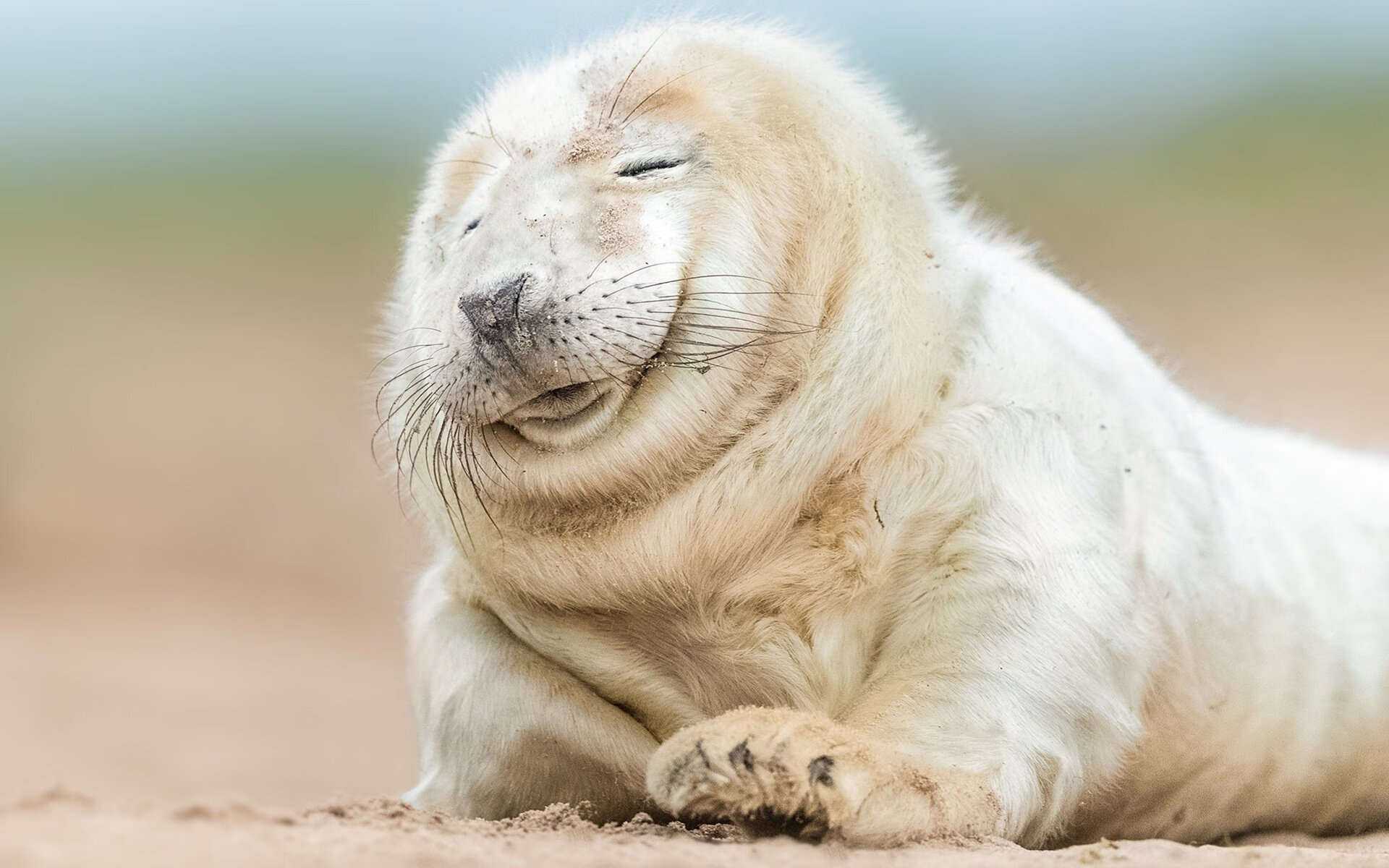 雷火电竞网址-一面倒的战争，皇家社会强压战术与迪马利亚的统治艺术