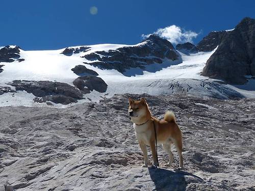 用烟花在夜空签名，阿尔瓦雷斯的欧冠淘汰赛之夜