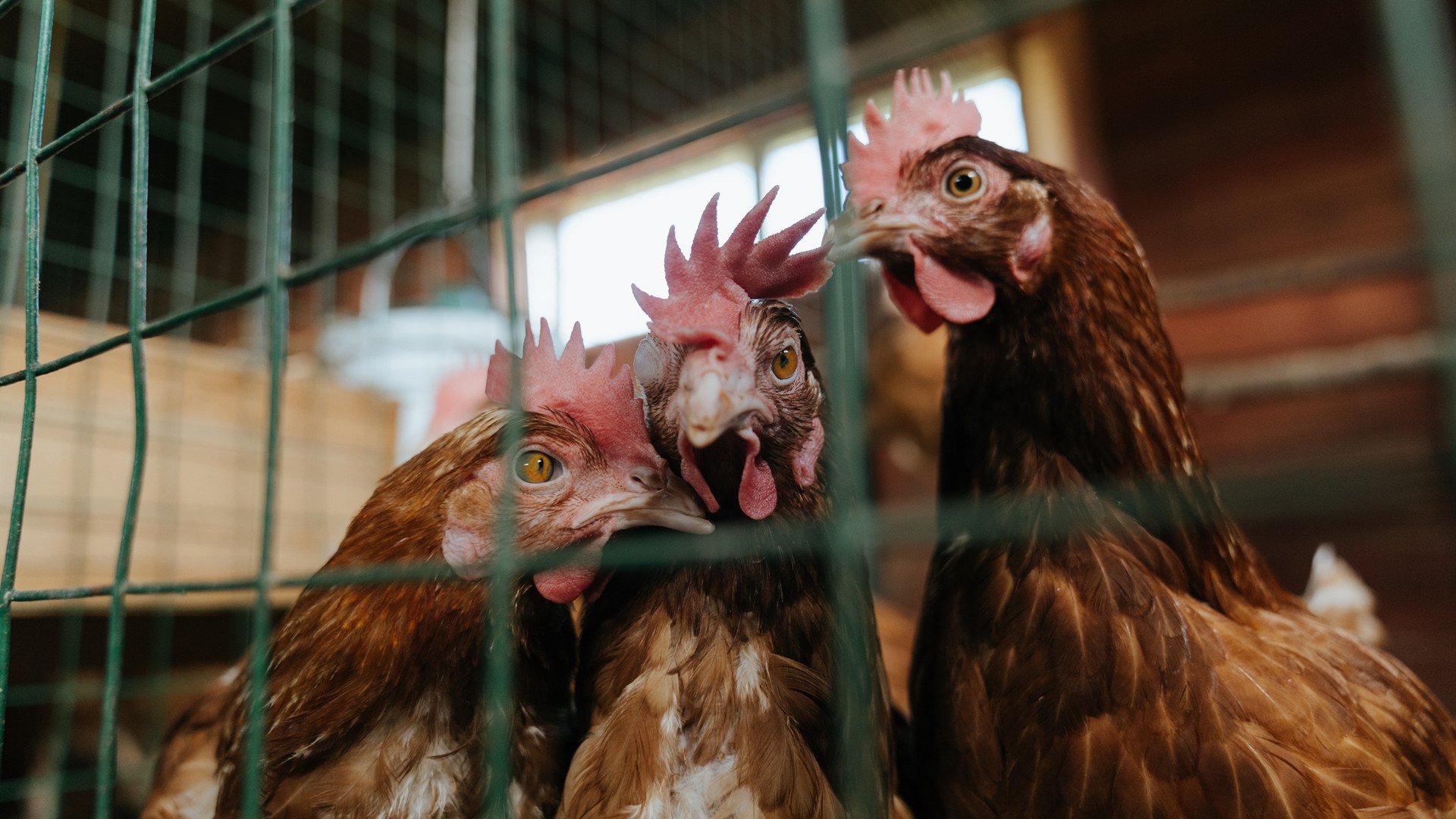 唯一性,那个改写历史的雨夜,与一个被低估的关键先生