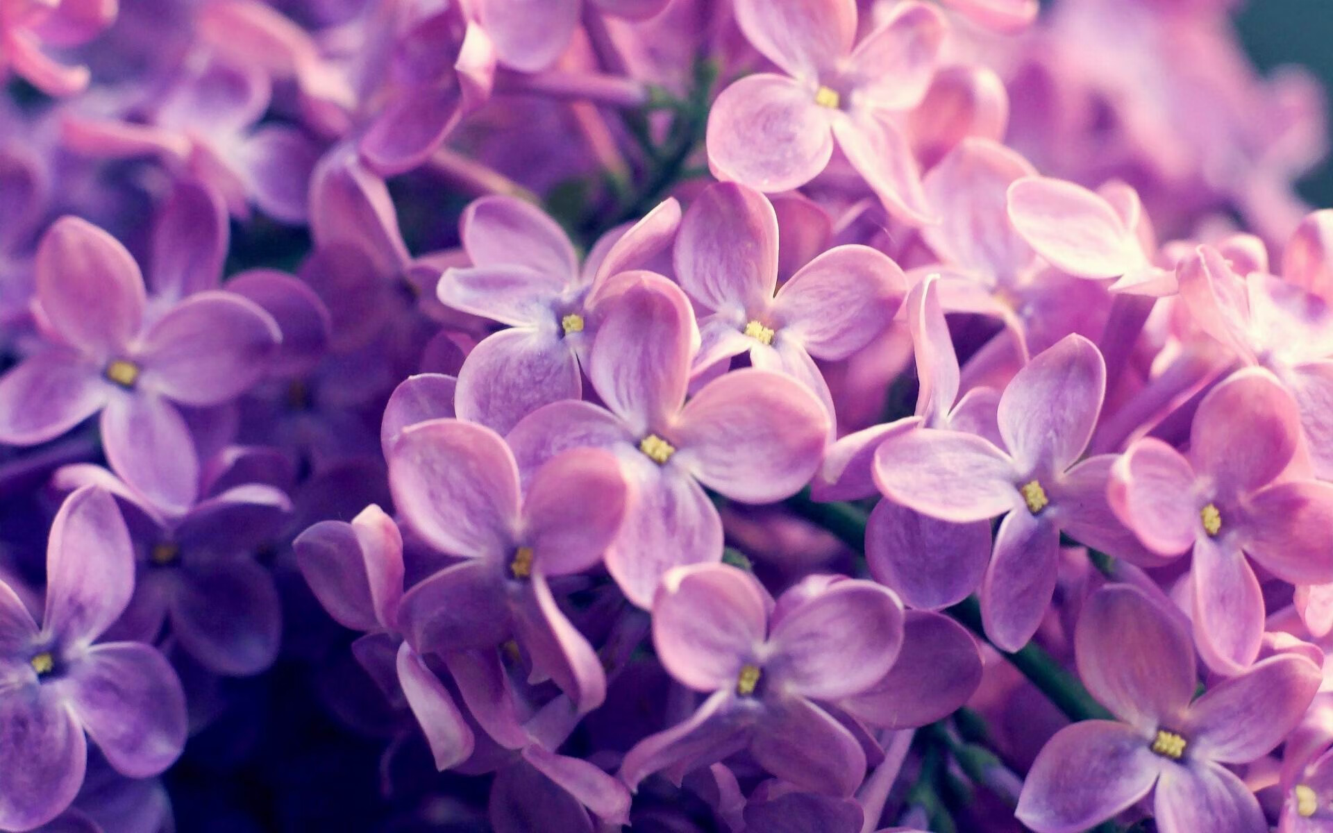 镜像·若日尼奥,一场绿茵场上的平行宇宙