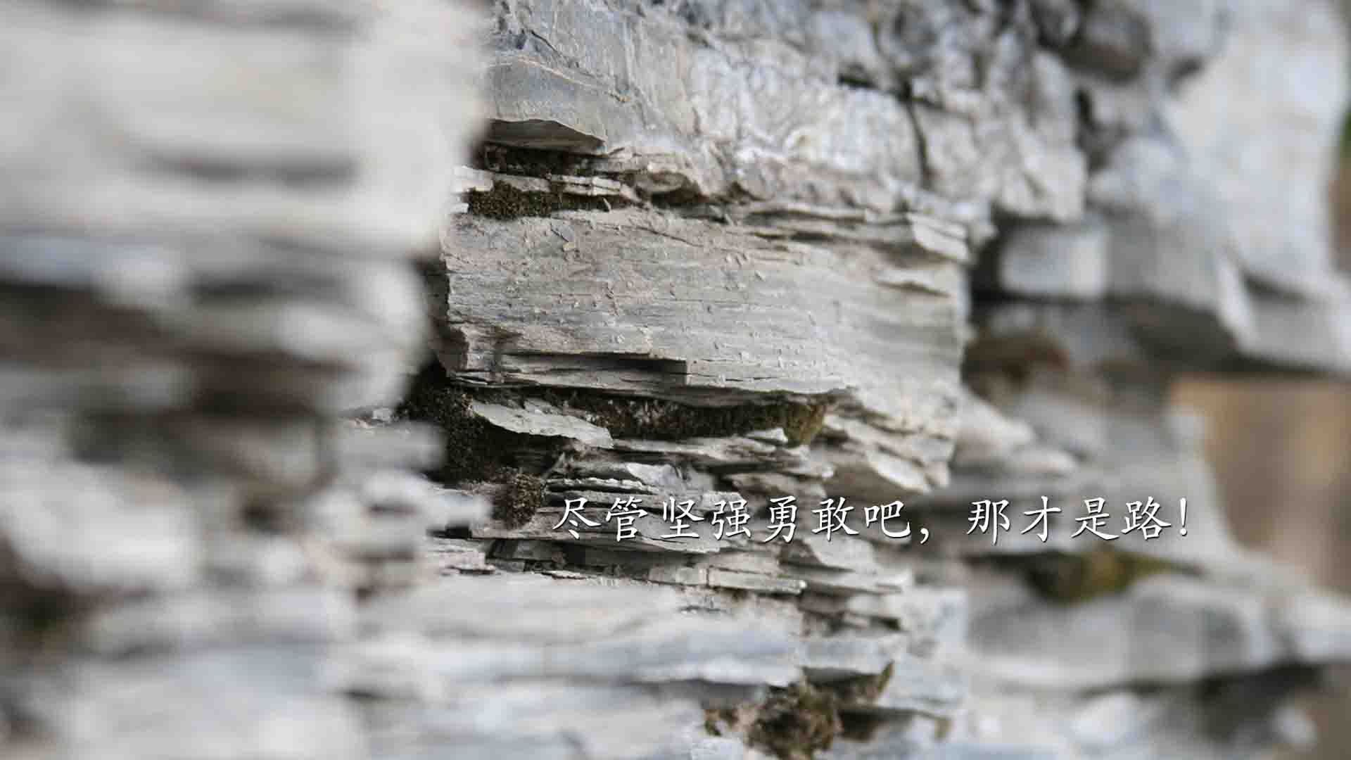 对决的艺术,当新王向旧秩序宣战,体育最迷人的底色不是胜负