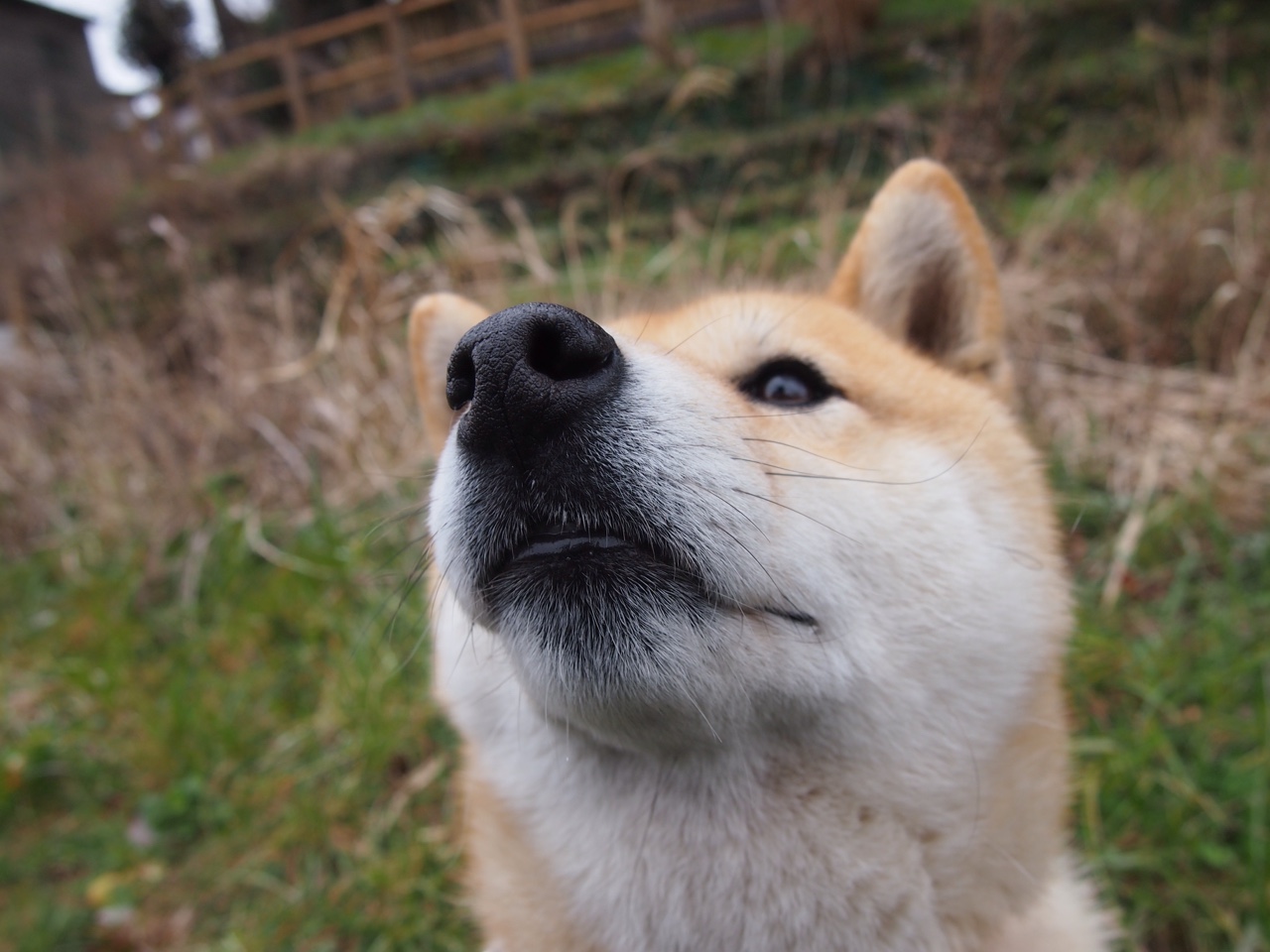 双城记，防守艺术的巅峰与进攻利刃的轻吟