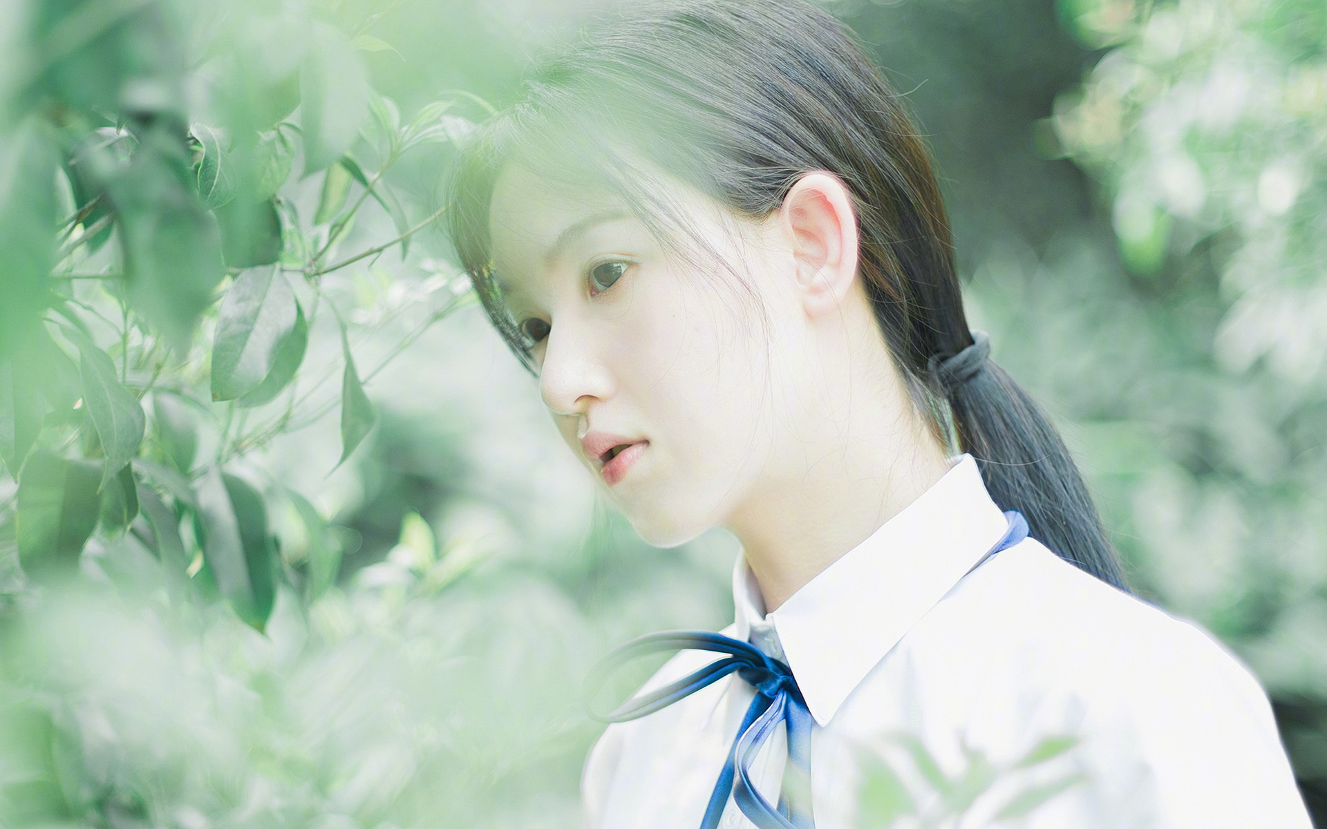 雷火电竞简介-当安哥拉的季风遇上威尔士的堡垒，赖斯在此夜成为北境的传奇