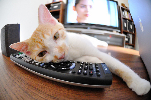 雷火电竞入驻-沙特足球逆袭皇马，F1年度争冠焦点战中的跨界共鸣与启示