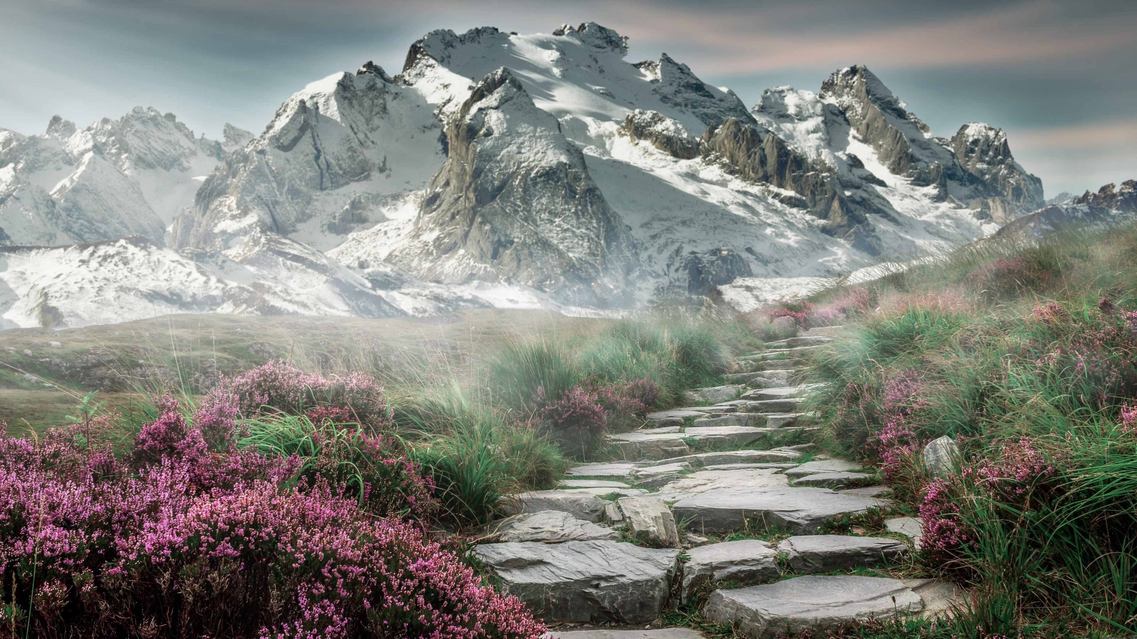 冰川拦截赤道风暴,范戴克末节接管曼城对阵厄瓜多尔的世纪之战