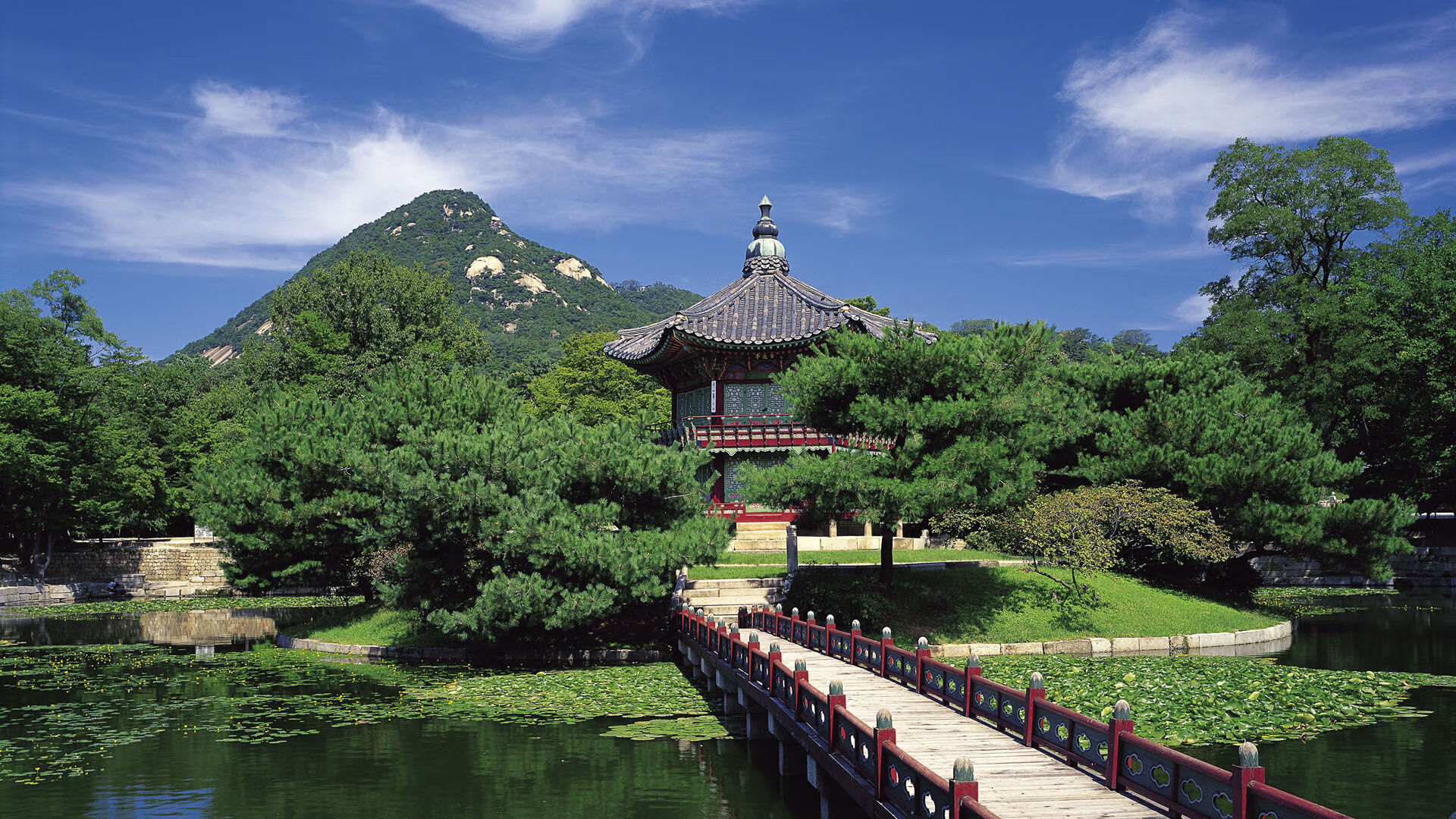 恩比德空砍50+难救主！霍福德封盖锁定胜局，凯尔特人上演劫富济贫？