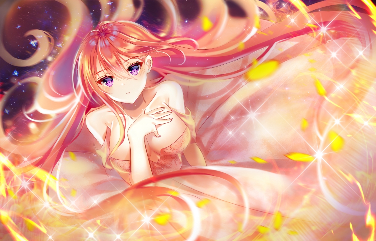 算法逻辑的胜利？当马克西·维斯塔潘以拉满评分的姿态赢得F1争冠夜