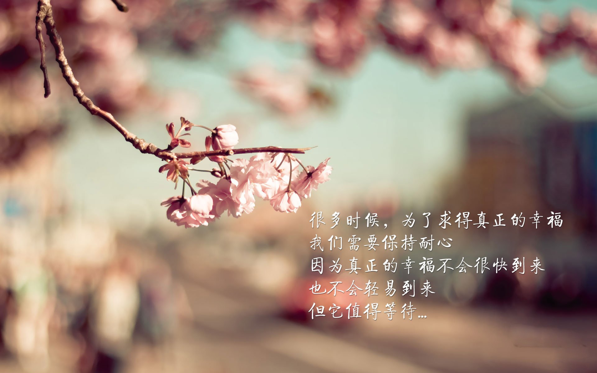 当战术机器遇见北欧风暴,佩德里如何成为唯一的不变量