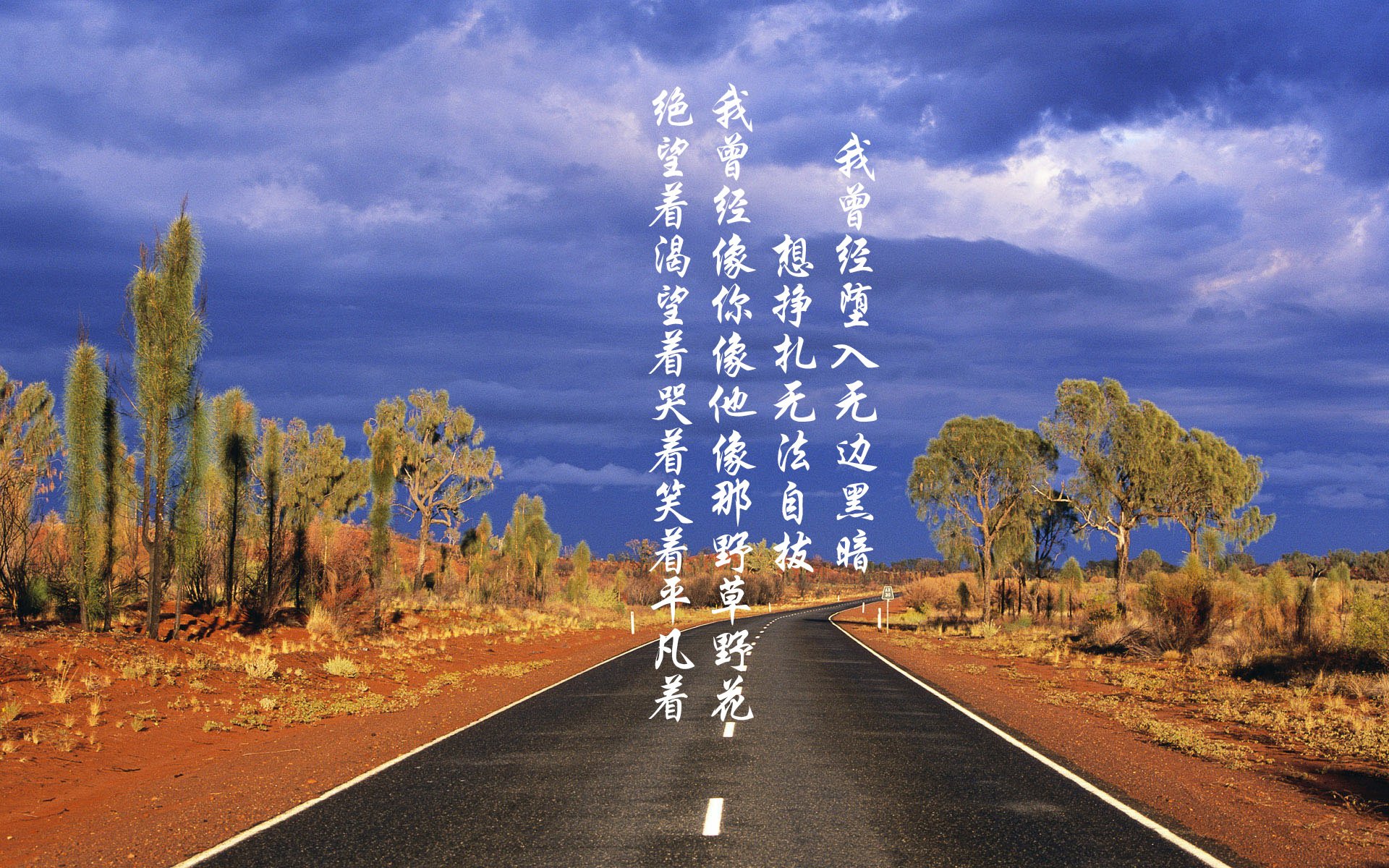 沙漠中的黑马，2026世界杯E组，莱万用经验之光照亮乌兹别克斯坦与智利的血色黄昏