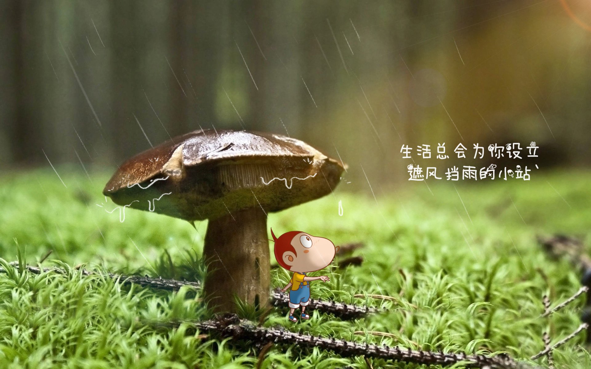 冷与火的碰撞，2026世界杯黑马之战，伊朗绝杀丹麦，卢卡库独木难支