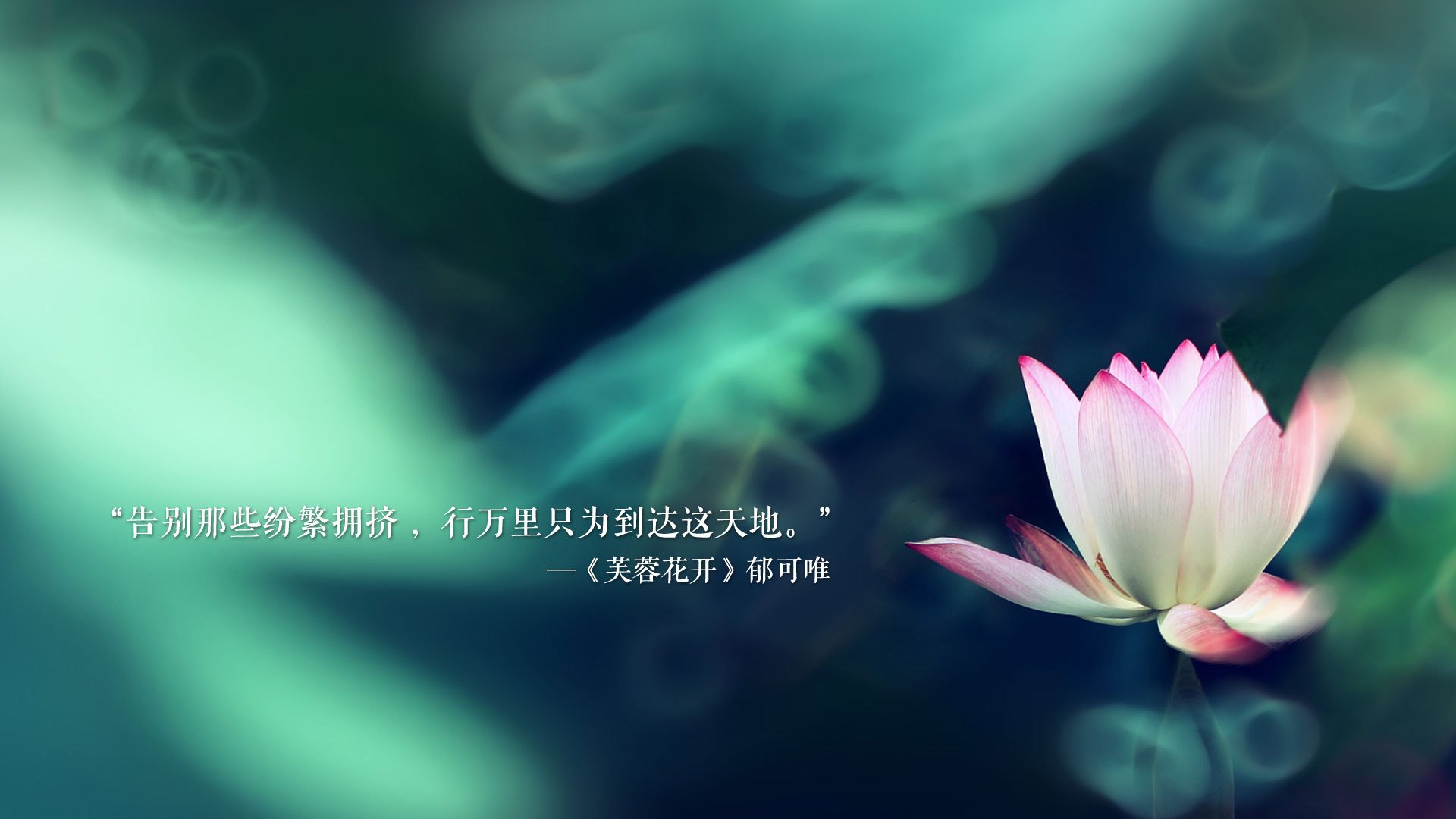 莱茵河巨兽的咆哮，当波兰碾压了潘帕斯之鸟，穆西亚拉的致命一击如何书写世界杯新王座