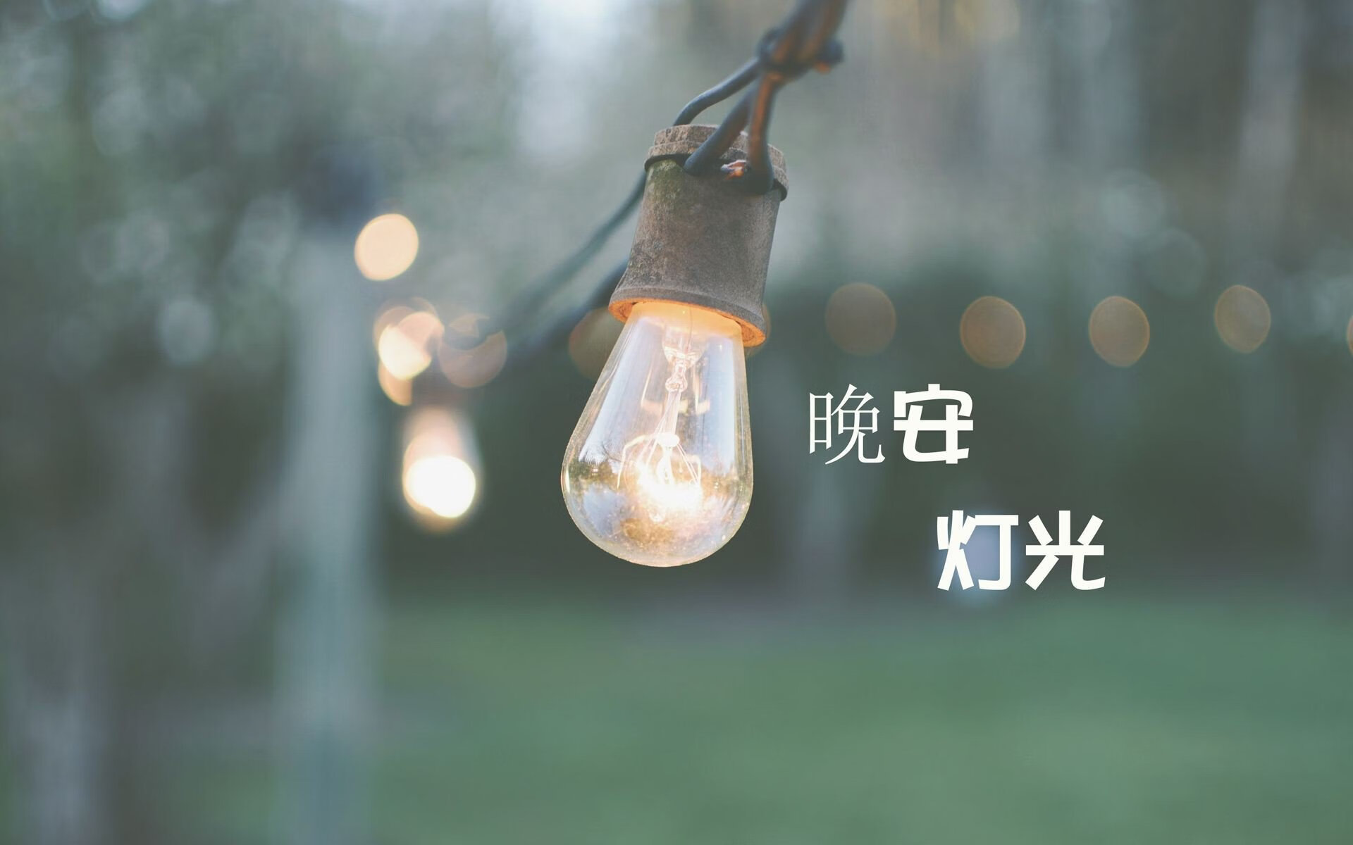 黑马奔腾，2026世界杯C组罗马尼亚完胜奥地利，罗德里戈领衔替补奇兵惊艳世界